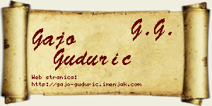 Gajo Gudurić vizit kartica